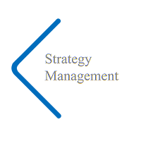 Strategy Management